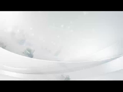 Εισαγωγή της επιχείρησής μας